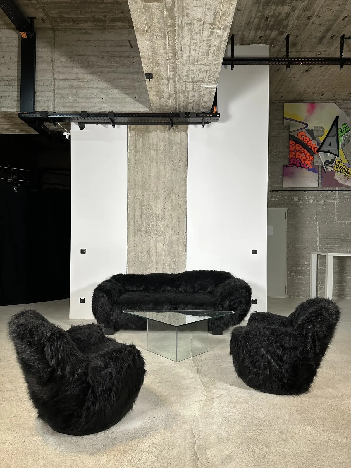 Black Fur